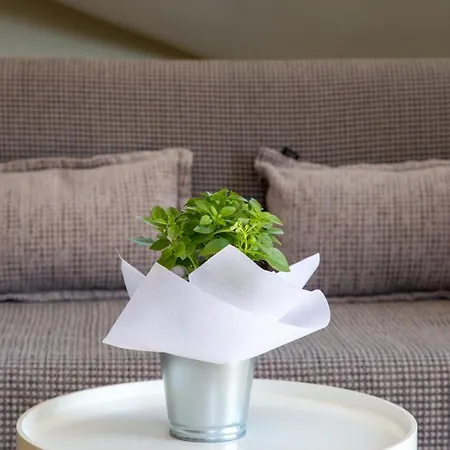 Anthi's 아파트 릭수리